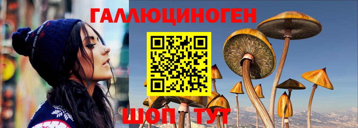 Псилоцибиновые грибы мухоморы Новороссийск