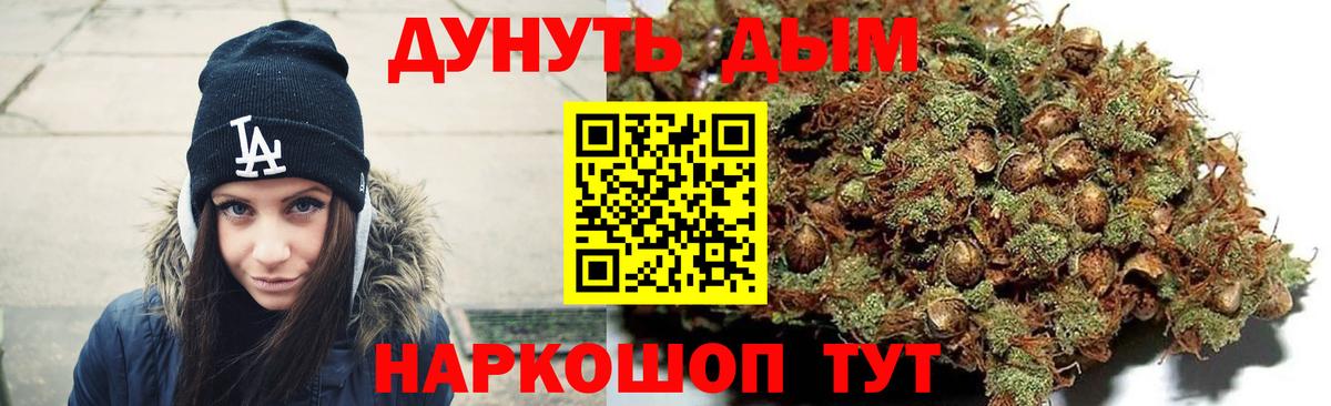 Бошки Шишки сатива Новороссийск